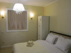 Apartment Demokratichniy 43